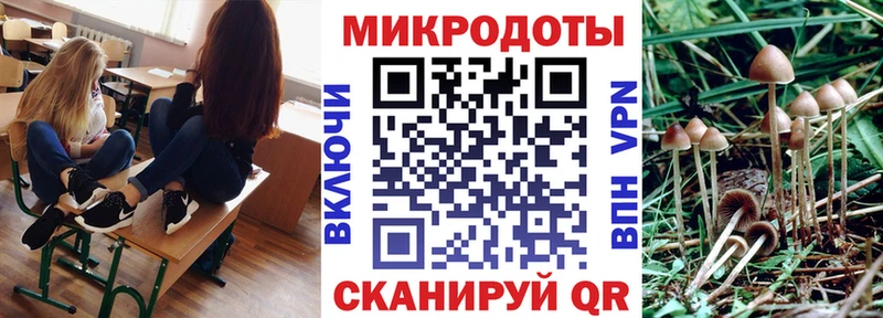 Галлюциногенные грибы ЛСД  Сураж 