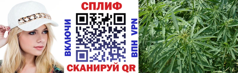 купить наркоту Сураж Бошки Шишки сатива